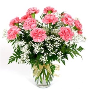 18 Carnations arranged in vase with filler and bow (mixed colors, picture is an example, color varies) Pricing is adjusted for Mothers Day