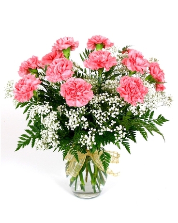 18 Carnations arranged in vase with filler and bow (mixed colors, picture is an example, color varies) Pricing is adjusted for Mothers Day
