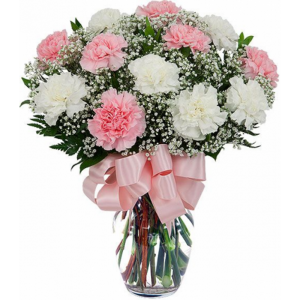 V-Day 18 Carnations arranged in vase with filler and bow (mixed colors)