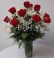 V-Day 1 Dozen Deluxe Roses Arranged with Babies Breath 2/6/2026-2/16/26