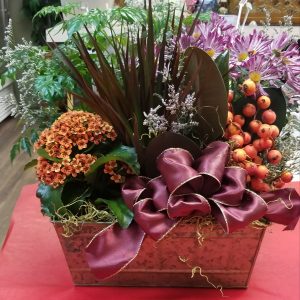 Large European Dishgarden Photos are examples only
