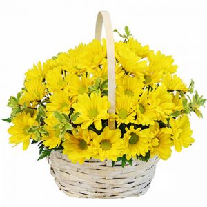 Basket of Daisys (Multiple Colors) Photo is example