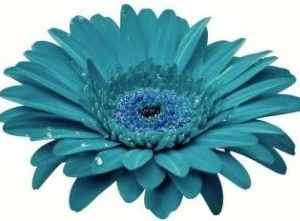 Deluxe Large vase, mix of novelty and standard flowers. Photos are examples only