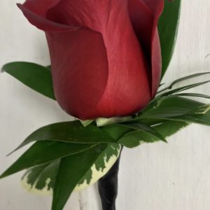 Graduation Ceremony Boutonniere