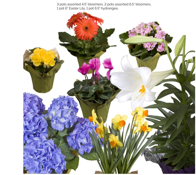 Example only not contents of box