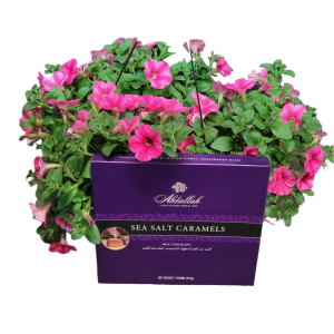 Spring time Special! 10-11" Hanging Basket and 1lb box of chocolates. PHOTO EXAMPLE ONLY!