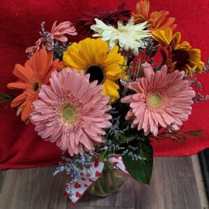 Vase of mixed Gerberas-Available this week (Photo is example only)